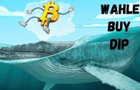 Whales Bought the Dip | Bitcoin Replacing Gold as Store of Value | NFT Take over Continues
