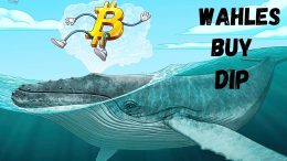 Whales-Bought-the-Dip-Bitcoin-Replacing-Gold-as-Store-of-Value-NFT-Take-over-Continues